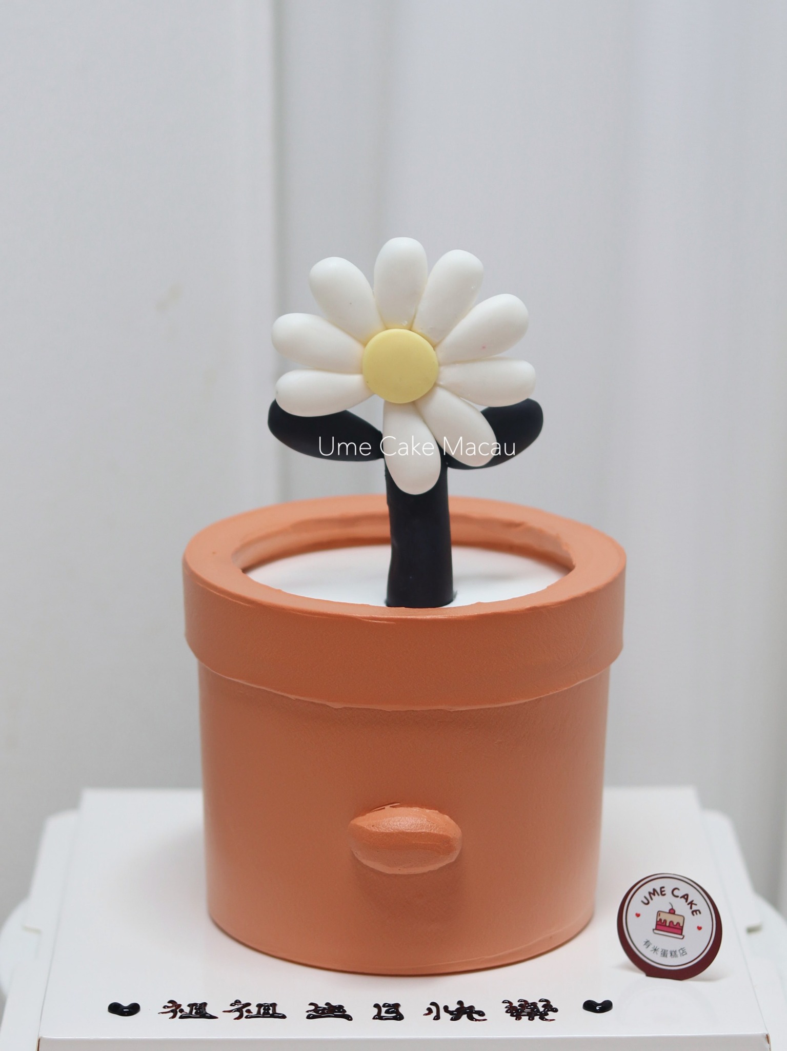 小雛菊盆栽蛋糕